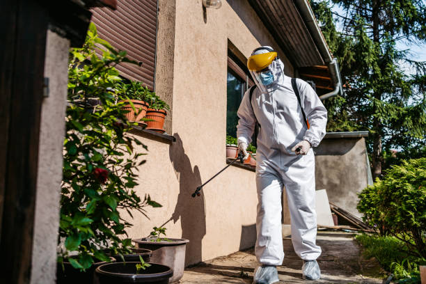 Best Pest Inspection Near Me  in Detroit Lakes, MN