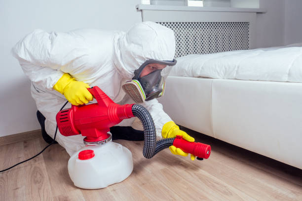 Best Best Pest Control Companies  in Detroit Lakes, MN