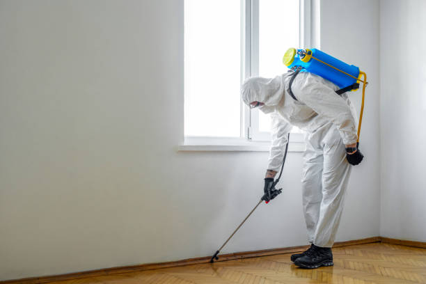 Best Pest Removal Services  in Detroit Lakes, MN