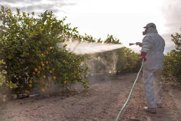 Best Commercial Pest Control Services  in Detroit Lakes, MN