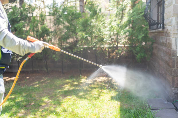 Best Pest Control for Restaurants  in Detroit Lakes, MN